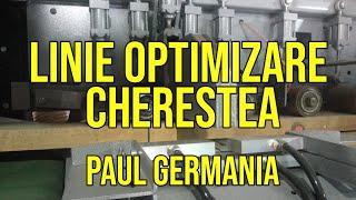 Linie optimizare cherestea - C14 MKL - Paul Maschinenfabrik Germania