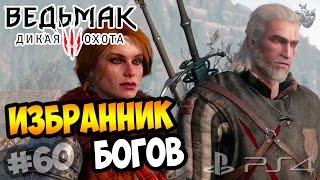 БРАТЬЯ ПО ОРУЖИЮ: СКЕЛЛИГЕ ► Прохождение "Ведьмак 3: Дикая Охота" #60