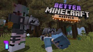 THE BEST MINECRAFT MODPACK EVER MADE!!!!