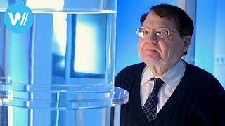 Water Memory (2014 Documentary about Nobel Prize laureate Luc Montagnier)