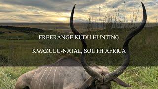 Kudu Hunting in Africa with Safari Quest Outfitters