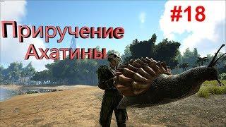 Выживание в ARK Survival Evolved #18 |  Приручение Ахатины(Улиточка)