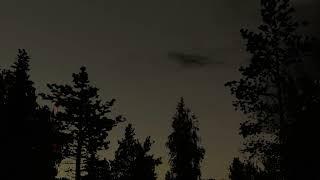 My Summer Car Soundtrack - Birds Evening Ambience