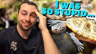 What I Wish I Knew BEFORE Keeping Turtles... (my #1 TIPS!)