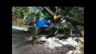 Landscape Maintenance Service - Hanover, PA - Ryan's Landscaping
