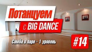 Потанцуем с BIG Dance №14   Самба в паре -1 уровень