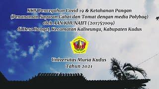 KKN pencegahan covid 19 & ketahanan pangan oleh Aan Khunaifi