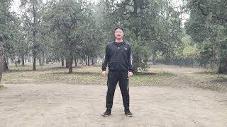第一节  意拳（大成拳）摩擦步的意义 #武术  #意拳  #干货分享  #教学