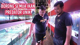 MULAI BORONG DAN KUMPULKAN IKAN PREDATOR UNIK DAN LANGKA UNTUK GALERI MARKAS JAMM VLOG YANG BARU