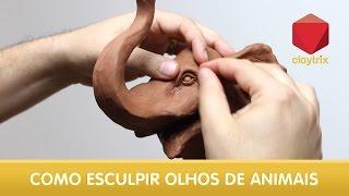 Quicktrix - Como esculpir olhos de animais | Claytrix