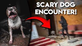 Stray PIT BULL Traps Us Inside of Abandoned Church!! - Urban Exploration GONE WRONG