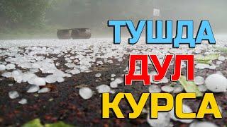 Тушда Дул курса - Tushda Do'l ko'rsa