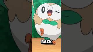 Rowlet Proved that he's top dawg.  #pokemon