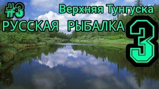 Русская Рыбалка 3 》Итоги Турнира и Верхняя Тунгуска ЧИР И МУКСУН #3