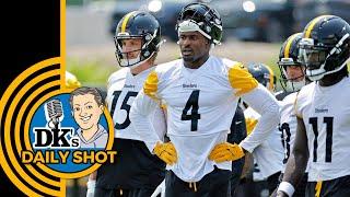 DK's Daily Shot of Steelers: The DK Metcalf role