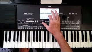 Korg pa 600 свой стиль проба