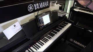 Yamaha E-Pianos 2021. Erfahrungen, kaufberatung und Vorstellung der verschiedenen Ausführungen.