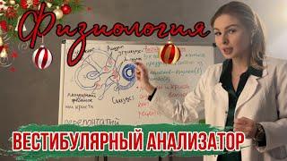 Физиология|Вестибулярный анализатор|Полукружные каналы