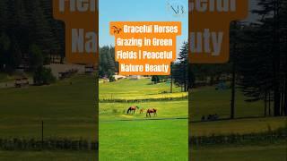  Graceful Horses Grazing in Green Fields | Peaceful Nature Beauty by NaturalBeauty349