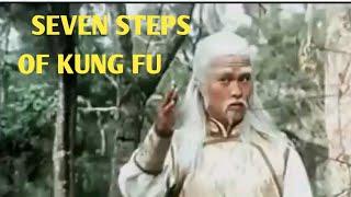 Seven steps of kung fu - Final fight