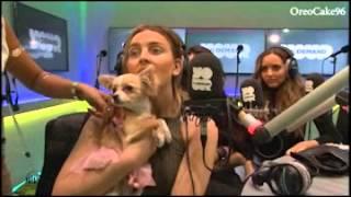 Little Mix Funny&Cute Moments Part 6