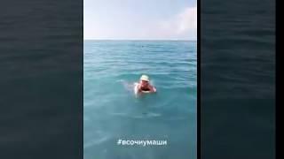 Медуза на Чёрном море #всочиумаши