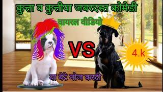 dog best comedy kalu vs whahit   // कुता बेस्ट कोमेडी // sonu baba official