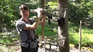 How to Set Up a Climbing Tree Stand