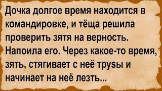 Как тёща, зятя, на верность проверяла... Сборник анекдотов!