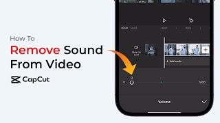 How To Remove Sound From A Video In CapCut?