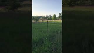 the beauty of the forest-steppe