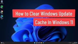 How to Clear Windows Update Cache In Windows 11