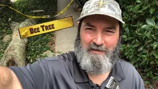 Bee Man & Crazy Tree Guys VS Bee Tree