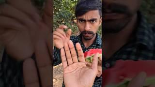 ASMR AMERICA'SORIGINAL #2862DUBBLEBUBBLE GUM (3 FRUIT FLAVORS) AND...part3