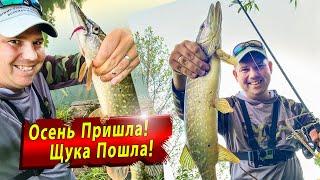 Щука в сентябре | Микроджиг Jara baits Nano series