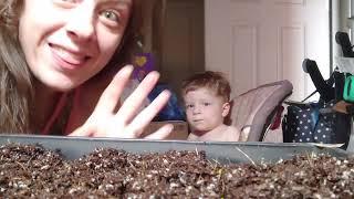 Seed Starting in Soil Blocks |Stewpendous Growth 2023|Tomatoes & Peppers