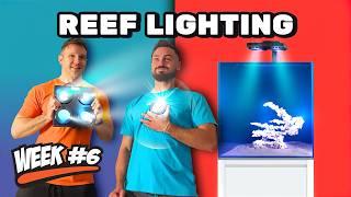 12 Week Reef | Video 6. Perfect Lighting For Corals