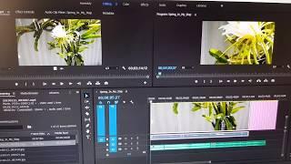 Adobe Premiere: Fix Preview Window Show Zoom In Video and Not Original Size