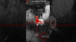 2024 Texas Deer Thermal #predator #hunting #caceria #viral #shorts #bigbuck #deer #शिकार #शिकारी