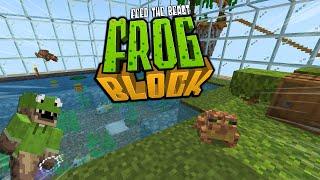 We Built a Terrarium for all our Frogs! | Frog Block | Ep 2