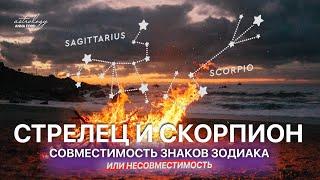 СТРЕЛЕЦ И СКОРПИОн совместимость