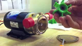 HOW TO: Jabsco Ballast Puppy Pump Green Impeller Replacement