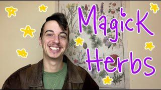  7 Magick Herbs For Beginner Witches  