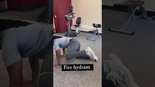 Hip Exercises | Professional Physical Therapy