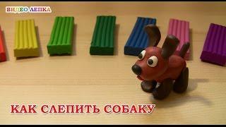 СОБАКА - Лепим из пластилина с Видео Лепка