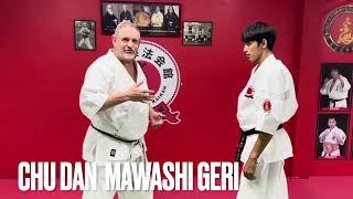 Shorin Kempo Chu dan Mawashi Geri explained by Kancho  McInnes