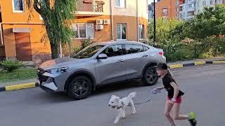 Haval F7x или Haval F7? Основные отличия. Что купить.