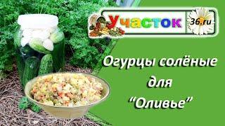 Огурцы для "Оливье"