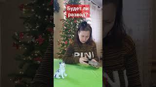 Будет ли развод? 21.01.2024 #предсказание #расклад #чтождет #отношения #любовь #таро