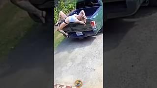 Funny Videos  #funny #funnyvideo #memes #viralvideo